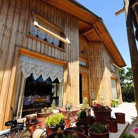 Hostel 산 펠리페 외부 사진